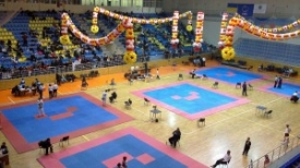 Спортивный турнир в рамках программы «Дети Украины»