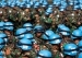 Ця робота пов'язана з постійним ризиком