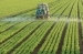 Зрошення земель - одне з основних завдань меліораторів. фото: dcnews.ro
