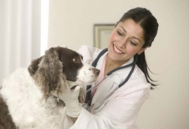 Медицина лечит человека, а ветеринария оберегает человечество