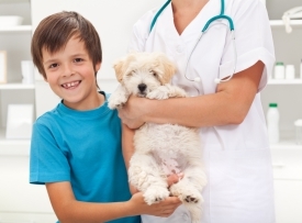 День ветеринарного врача — один из самых гуманных праздников.