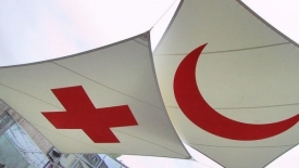 Официально название Международный Красный Крест было утверждено в 1928 году