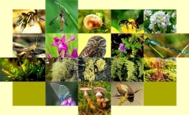 Збереження біологічного різноманіття живих видів - одне з головних завдань людства