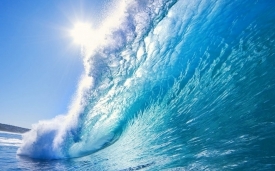Океанская волна сильна и прекрасна